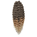 Ariel Brčky | T1B/27/613 - 300g - Braid For You